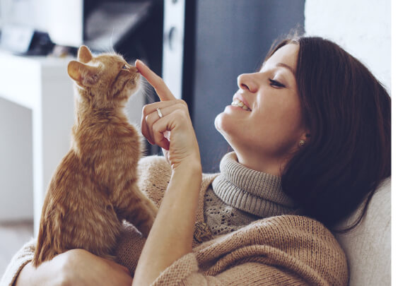 crunchy cat treats